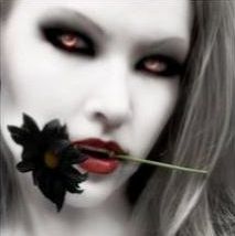 obrazky-4ever-sk20emo2031753921